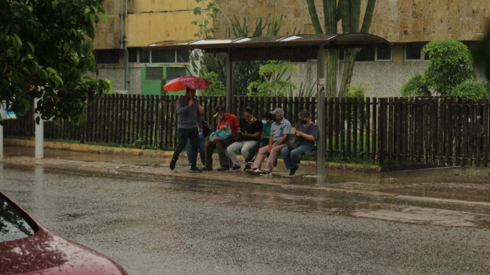 paraguas Personas bajo la lluvia (2)